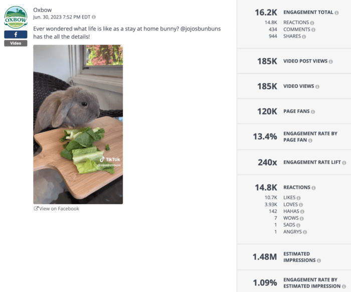 Oxbow post from June 30, 2023, showing a bunny eating vegetables with the caption about the life of a stay-at-home bunny. Engagement statistics: 16.2K engagement total, 13.4% engagement rate by page fan, 240x engagement rate lift, 1.48M estimated impressions.